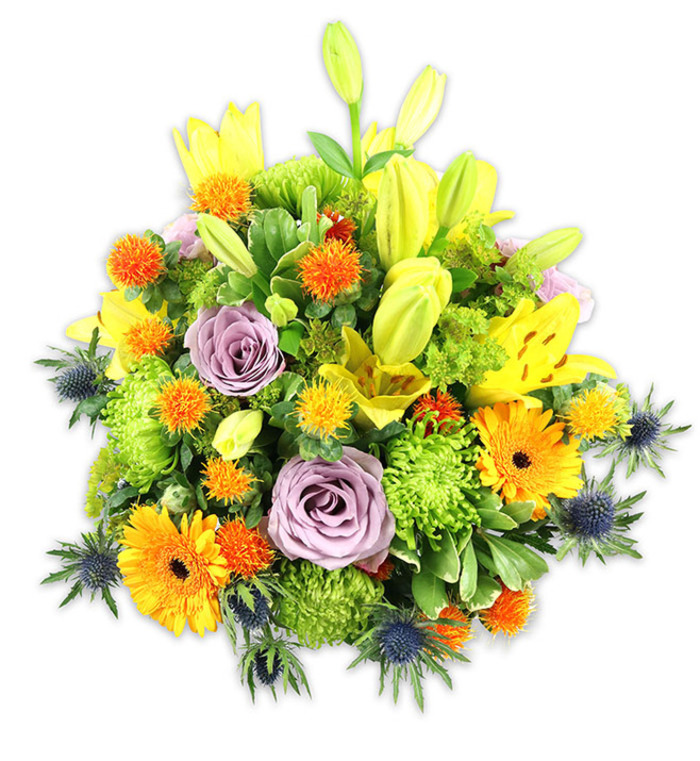 This densely packed floral composition, photographed against a pristine white field, balances exuberant colour with considered botanical structure. Yellow Asiatic lilies dominate, some unfurled to reveal freckled petals and delicate stamens, others held as elongated chartreuse buds that add vertical rhythm and a sense of anticipation. Two or more soft lavender roses sit deeper in the arrangement, their cool mauve tones and classic spiralling petals forming a gentle, elegant focal point amid the warmer palette. Large orange Gerbera daisies give the piece immediacy and cheer, their flat radiating petals and darker centres cutting through the ruffled mass. Bright lime-green button chrysanthemums build volumetric texture, their compact, almost pom-pom heads creating plush, moss-like fills. Interspersed are smaller spherical orange and yellow accent blooms-spiky, playful, and bright-that scatter color across the top plane. Distinctive blue-grey sea thistles (Eryngium) project from the lower and lateral zones, introducing a metallic, sculptural note and a crisp coolness that balances the luminous warm hues. A selection of foliage ranging from wide, glossy lily leaves to finer, oval filler greens unifies the elements, providing shadow, contour and a garden-fresh scent in the imagination. The soft, even lighting reveals petal textures: velvety rose faces, satin-like lily petals and the textured bracts of the thistles. This composition feels at home for celebratory centrepieces, thoughtful congratulations, or dignified sympathy arrangements reflecting Dulwich's leafy neighbourhood character-from the quiet paths of Dulwich Park to the local cafes of Lordship Lane-expressing warmth, optimism and quiet artistry.
